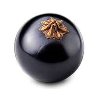 Blackcurrant