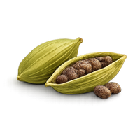 Cardamom