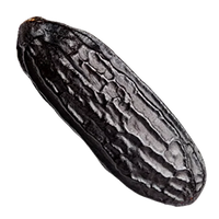 Tonka Bean