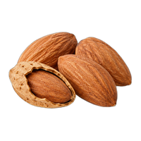 Almond