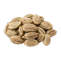 Angelica seed
