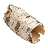 Birch