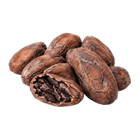 Cocoa Beans