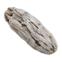 Driftwood