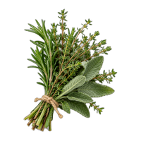 Herbs