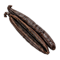 Madagascan-vanilla