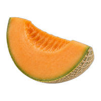 Melon