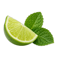 Mojito Accord