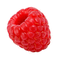 Himbeere