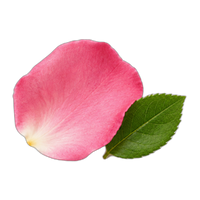 Rosyfolia