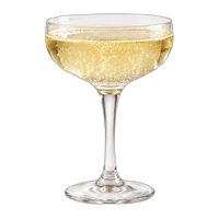 Sparkling Notes