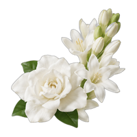 White Flowers